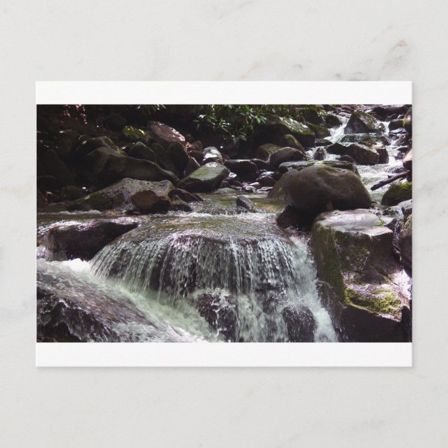 Cartão postal de Natal do Tennessee sem glifosato (Frente)