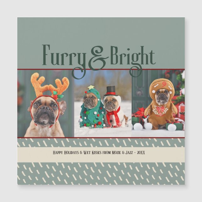 Cartão-postal de Natal Furry & Bright Dog (Frente)