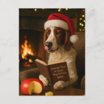 Cartão postal de Natal 'Imposto sobre Queijo' do F