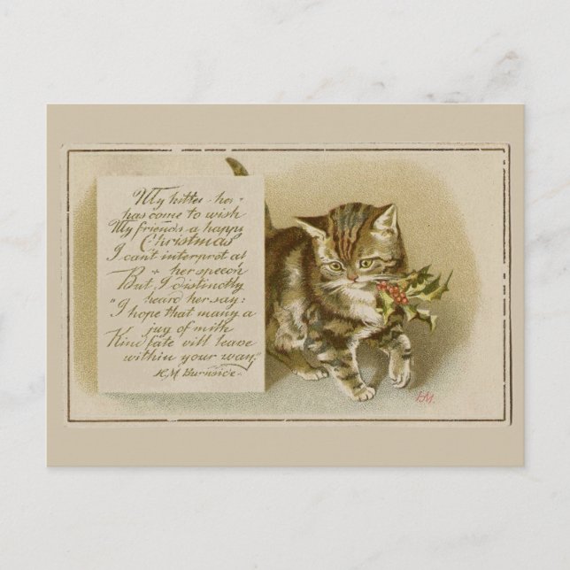 Cartão postal de Natal Vintage Kitten (Frente)