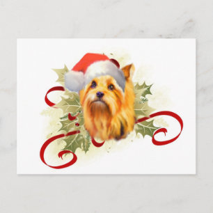 Cartão postal de Natal Yorkshire Terrier