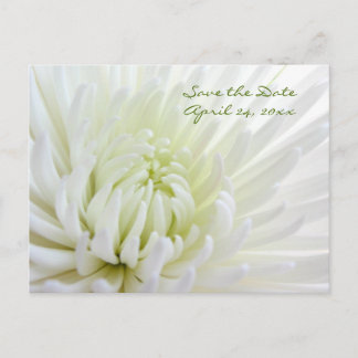 Cartão Postal de Noivado Flower Save the Date