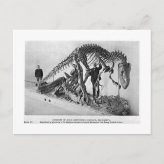 Cartão postal de obras do esqueleto Allosaurus