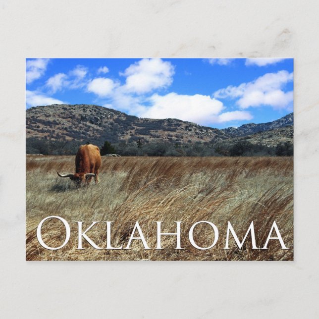 Cartão postal de Oklahoma Prairie (Frente)