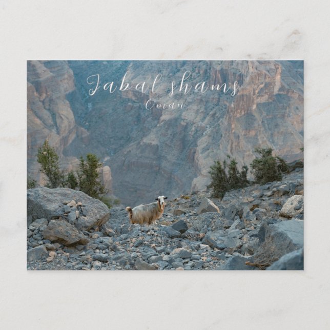 Cartão postal de Oman Jabal Shams (Frente)