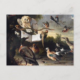 Cartão Postal De onde vêm as canções de pássaros