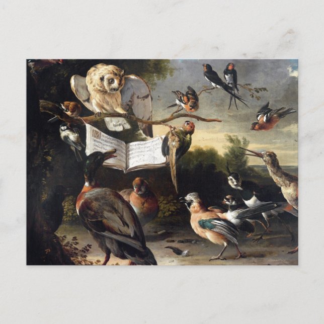 Cartão Postal De Onde Vêm os Cantos das Aves (Frente)