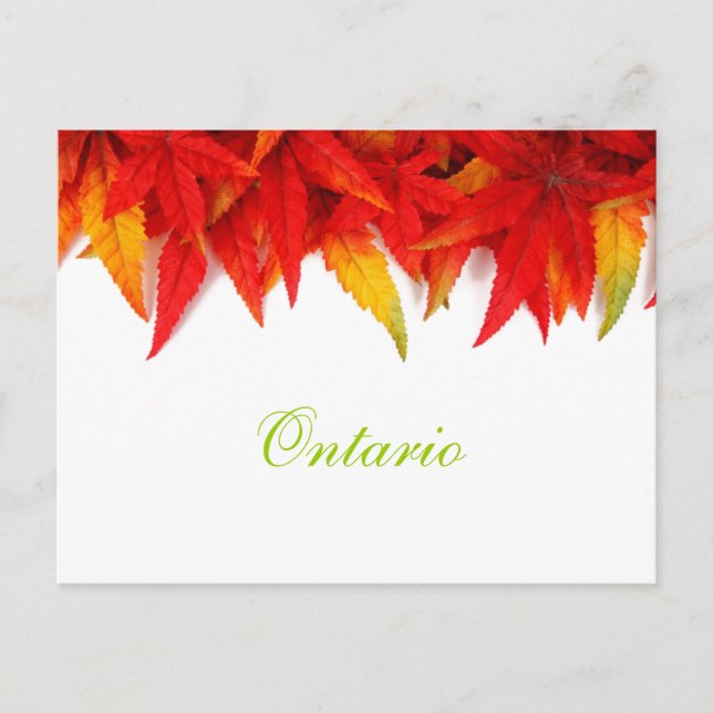 Cartão postal de Ontario Autumn (Frente)