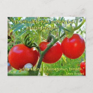 Cartão postal de oração Tomato
