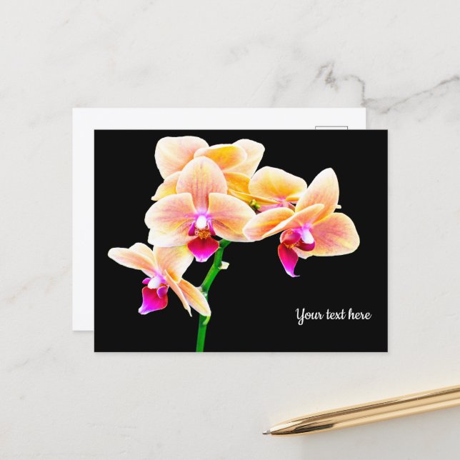 Cartão postal de orquídea (Frente/Verso In Situ)