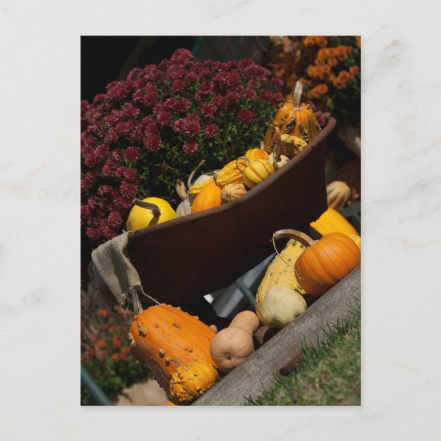 Cartão postal de outono (Frente)