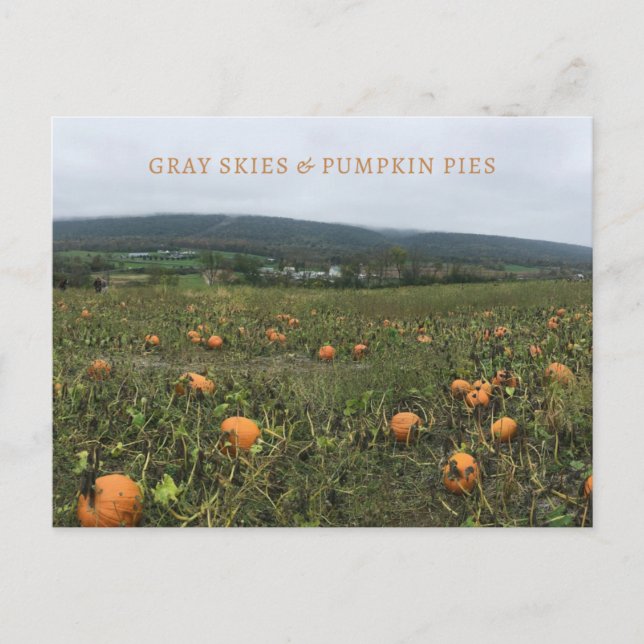 Cartão postal de outono (Frente)