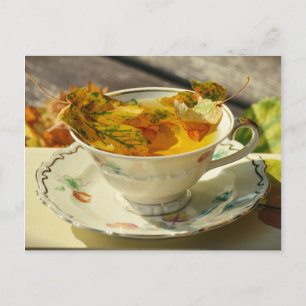 Cartão postal de outono do Tea Autumn