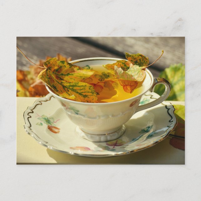 Cartão postal de outono do Tea Autumn (Frente)