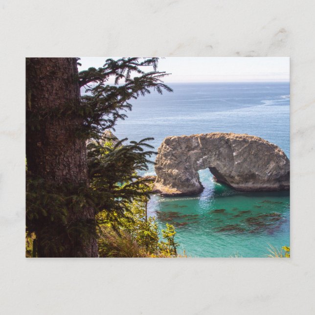 Cartão postal de Paisagem do Noroeste do Pacífico (Frente)