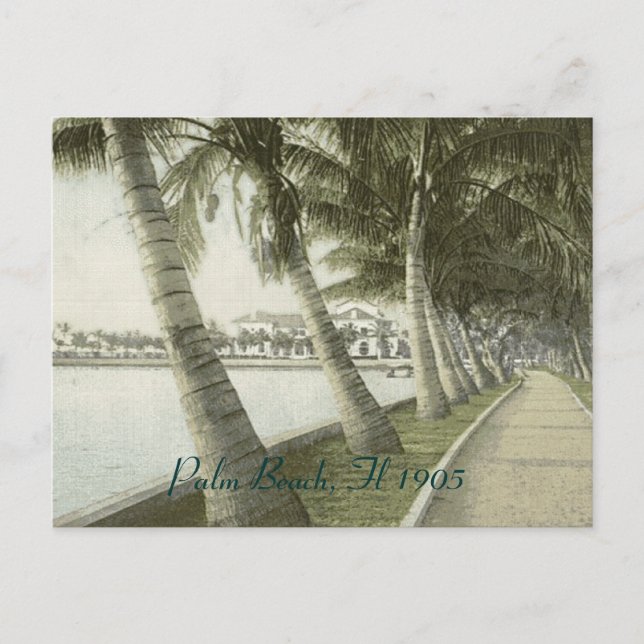 Cartão postal de Palm Beach 1905 (Frente)