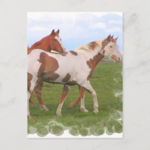 Cartão postal de par de cavalos