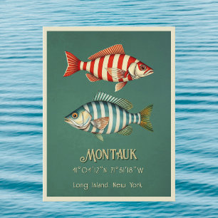 Cartão postal de peixe de Montauk Long Island Nova