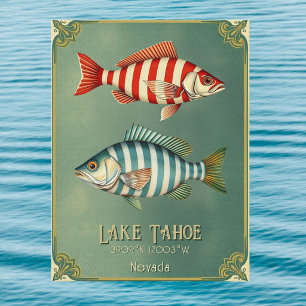 Cartão postal de peixe do Lago Tahoe Nevada Califo