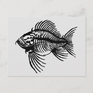 Cartão Postal de Peixe Fóssil