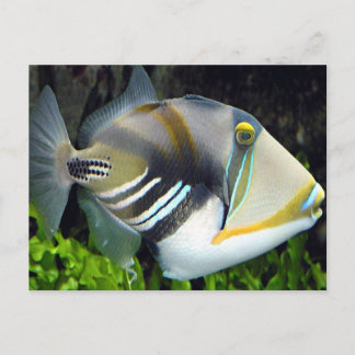 Cartão postal de peixe tropical havaiano