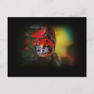 Cartão Postal de Peixes Dourados Coloridos