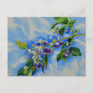 Cartão postal de pintura aquarela de mirtilo