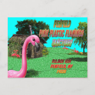 cartão postal de plástico flamingo, cor-de-rosa do