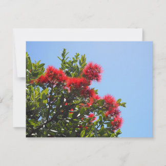 Cartão Postal de Pohutukawa 2