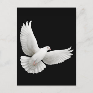 Cartão Postal de Pombo Branco Voador