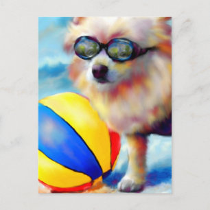 Cartão postal de Pomerânia na praia