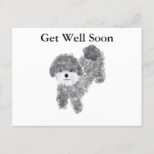 Cartão postal de Poodle Cinza 'Recupere-se logo' #