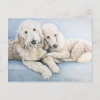 Cartão postal de Poodle e Poodle Dog Standard