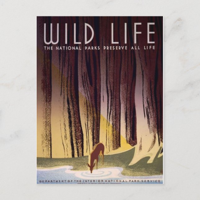 Cartão postal de Poster de Parques Nacionais WPA (Frente)