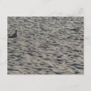Cartão Postal de Praia