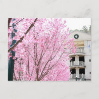 Cartão postal de Primaveras Quentes