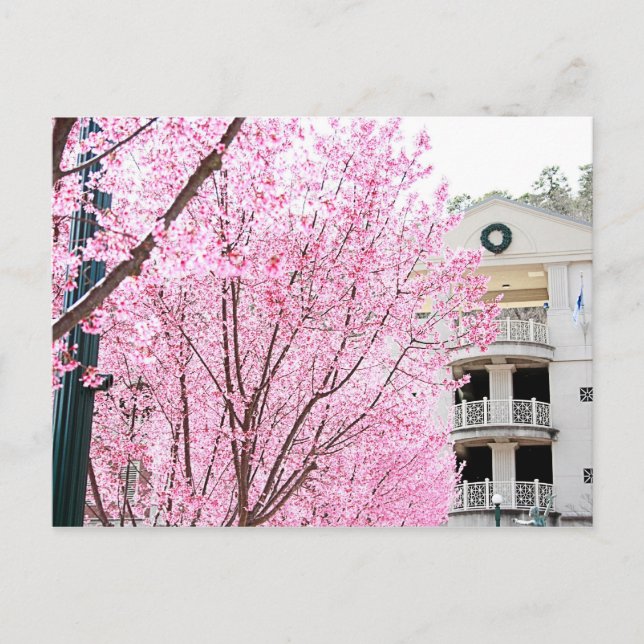 Cartão postal de Primaveras Quentes (Frente)