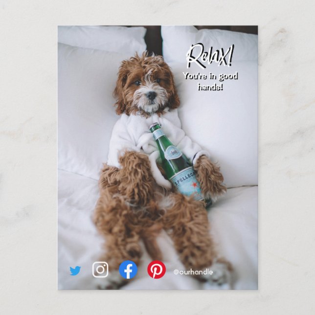 cartão postal de propriedade engraçada relaxar cão (Frente)