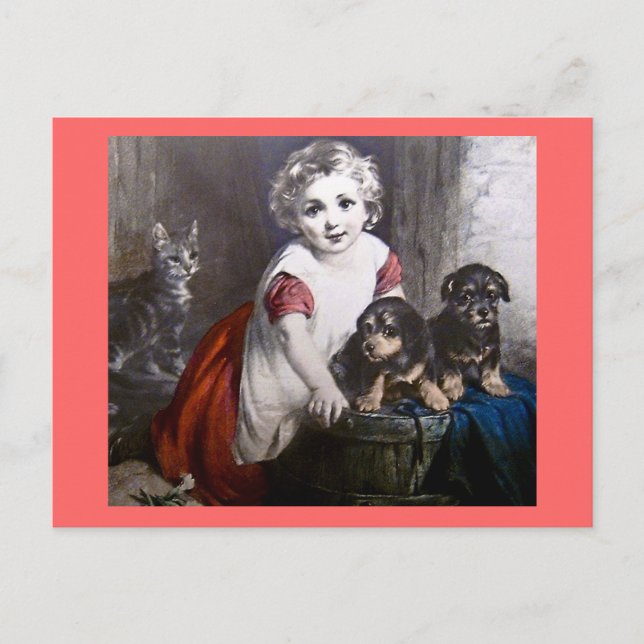 Cartão Postal De qual você gosta? Lanterna Mágica (Frente)