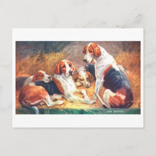 Cartão Postal de Raposas de Caça Antigas
