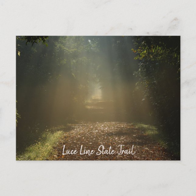 Cartão postal de Rastreio de Estado da Linha Luce (Frente)