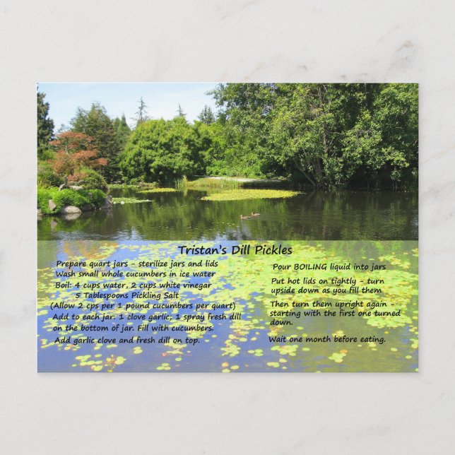 Cartão Postal de Receita de Picles de Endro (Frente)
