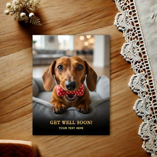 Cartão postal de recuperação Adorável Dachshund
