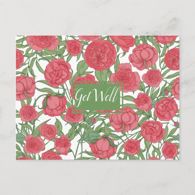Cartão postal de recuperação com rosa rosa (Frente)