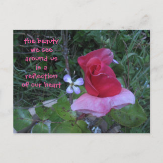 cartão postal de reflexão