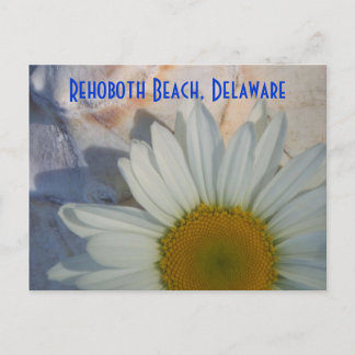 Cartão postal de Rehoboth Beach Daisy