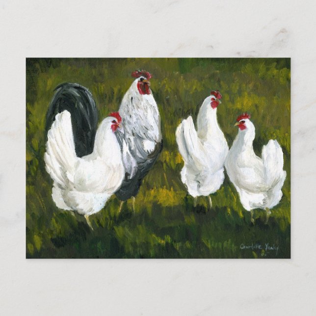 Cartão postal de reprodução de arte "Hens & Rooste (Frente)