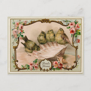 Cartão Postal de Reprodução Vintage de Pássaros Am