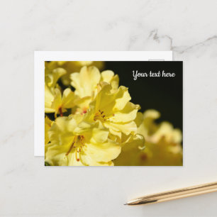 Cartão Postal de Rododendro Amarelo