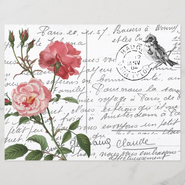 Cartão-postal de Rosa de pássaros com script franc (Frente)